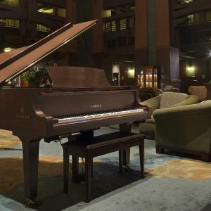 businesses_division-f1_2783b6771ef835b03d7852f6a8890519 Disklavier for business