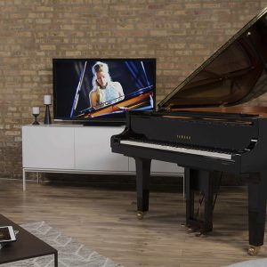 homes_division-b1_fac0b796caad839ae77f716caacb766e Disklavier home