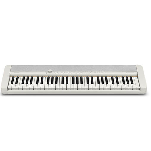 Casio 64 key keyboard online