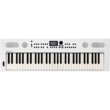 Roland GO:KEYS 5 Music Creation Keyboard White (GOKEYS5WH)