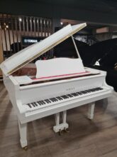 Yamaha G1 (White) - USED